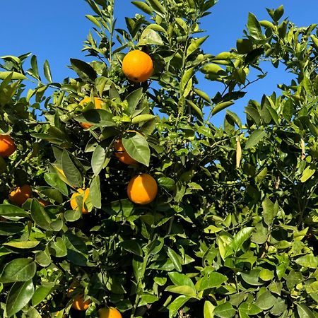 Finca Malata Turís Eksteriør billede