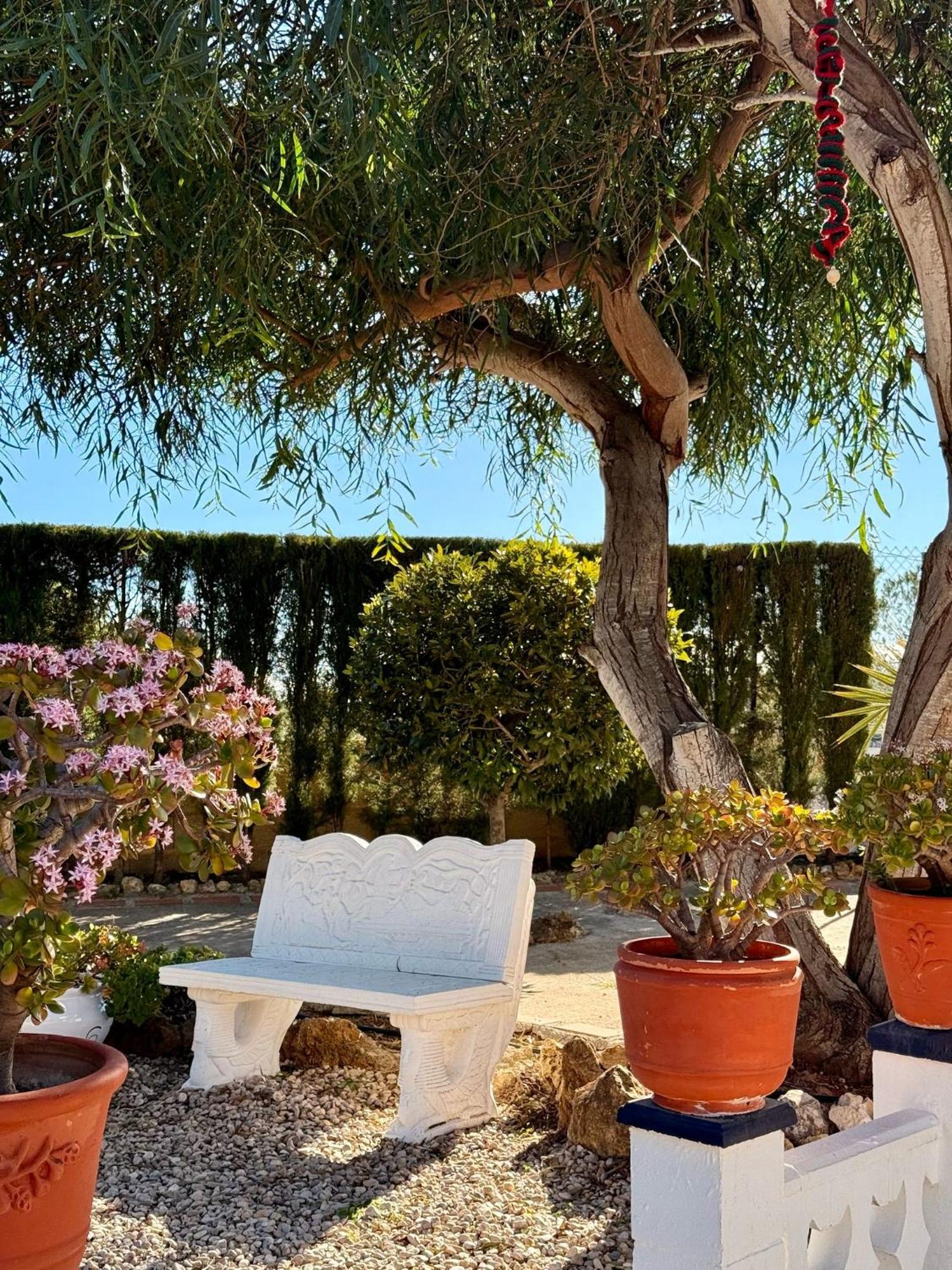 Finca Malata Turís Eksteriør billede